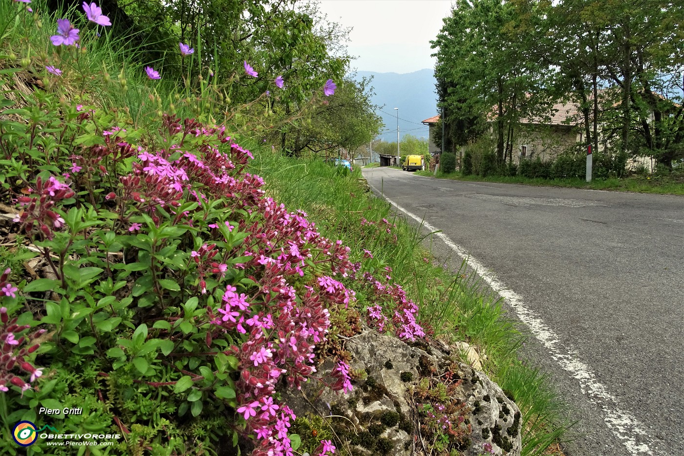 86  Sulla  strada asfaltata passaggio alle case di Camissinone.JPG